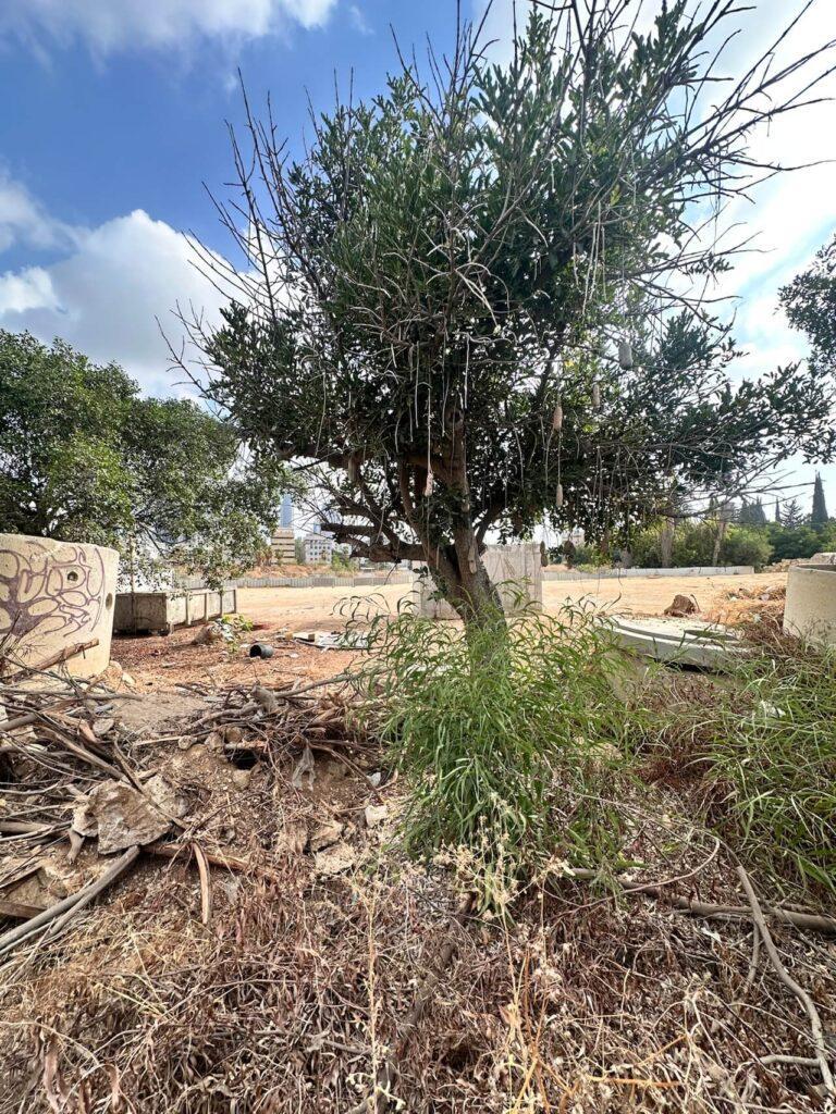 השכונה החדשה של תל אביב שתיקרא תעש השלום